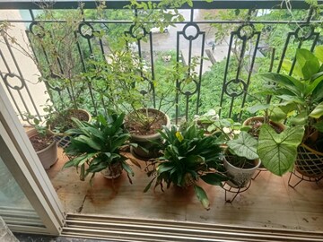 Balcony in 2 BHK Apartment at Platinum Heritage Thane West, Ghodbunder Road – for Sale