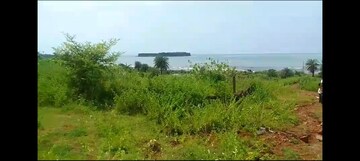  Plot For Sale in Dapoli