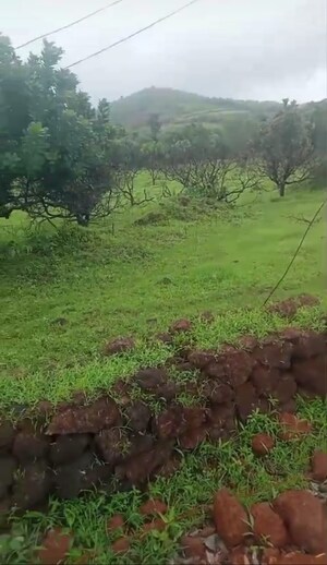 Plot Area in  Plot at Mandangad – for Sale