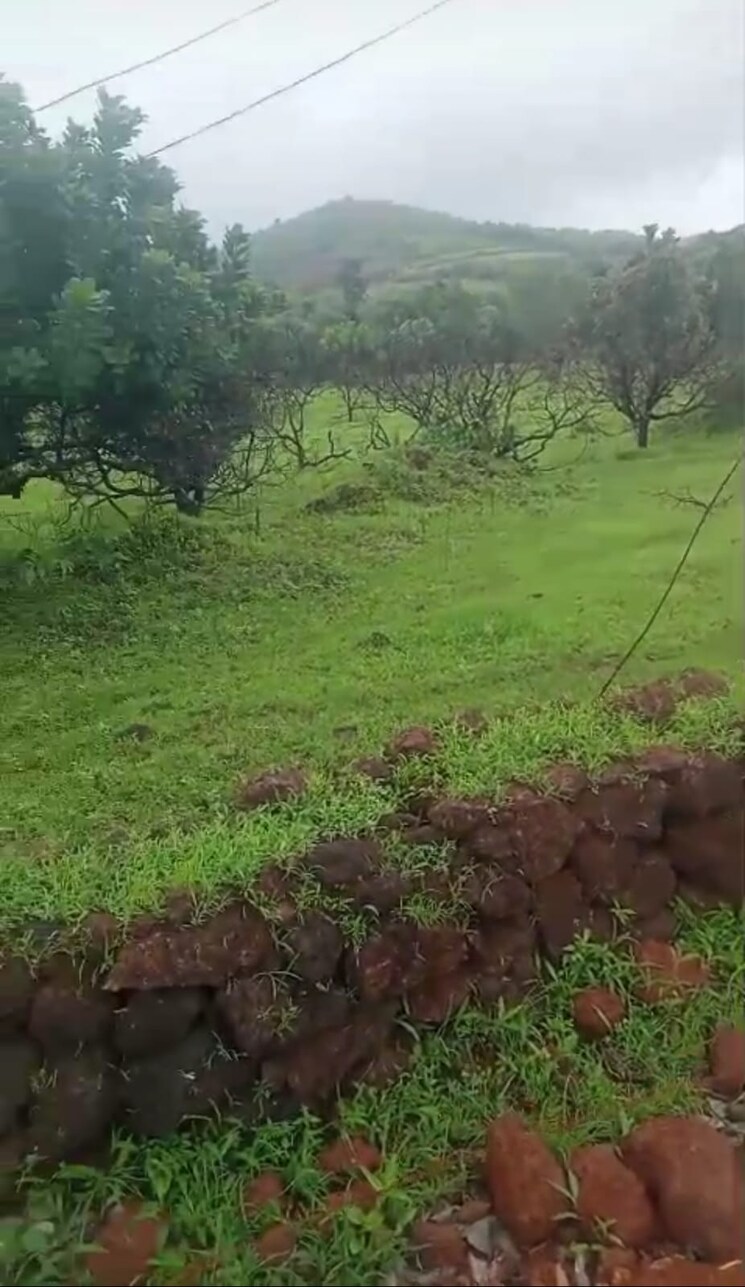 undefined, mandangad  7 Acre Plot In Mandangad Ratnagiri 9314312