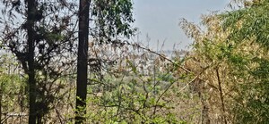 Plot Area in 1 BHK Apartment at DSK Saptasur, Dhayari – for Sale