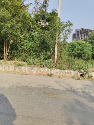 Plot Area in  Plot at Sector 80 – for Sale