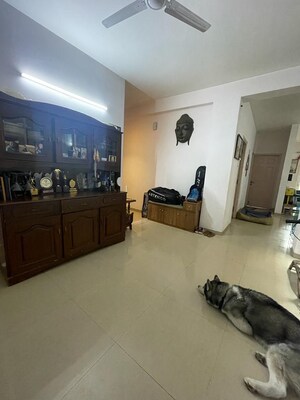 3 BHK Apartment For Rent in Emaar MGF Emerald Hills, Sector 65