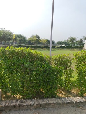  Plot – Garden View at Sector 97 - for Sale