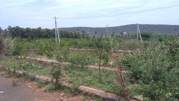  Plot For Sale in Kapulppada
