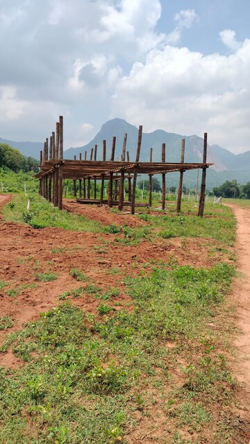 Plot Area in  Plot at Araku Road – for Sale