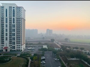 2 BHK Apartment – Exterior View View at DLF New Town Heights III, Sector 91 - for Sale