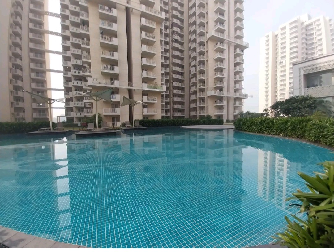 3 BHK + Servant Room Apartment For Sale in M3M Marina