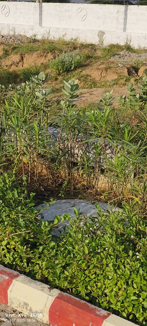 Plot Area in  Industrial Plot at Riyasat Commercial Hub, Sitarampura – for Sale