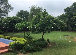 5 BHK Villa – Garden View at Emaar The Palm Spring  Villas, Sector 54 - for Sale