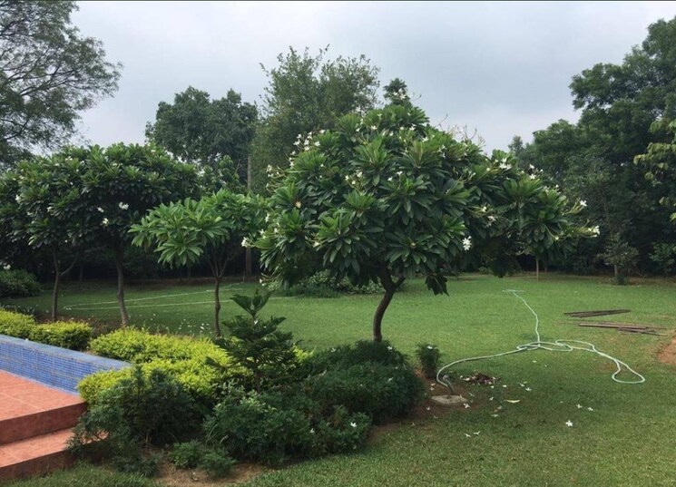 Garden, emaar-the-palm-spring-villas 5 Bedroom 360 Sq.Yd. Villa In Sector 54 Gurgaon 9315578