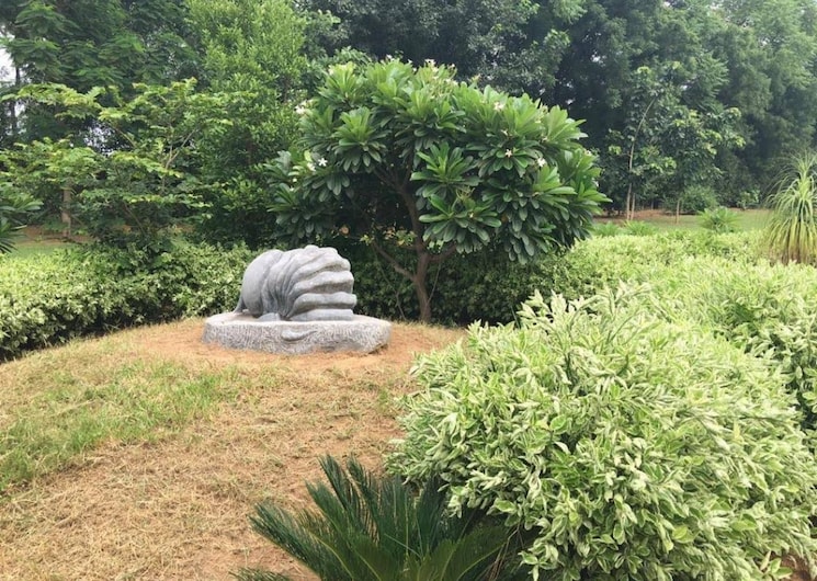 Garden, emaar-the-palm-spring-villas 5 Bedroom 360 Sq.Yd. Villa In Sector 54 Gurgaon 9315578