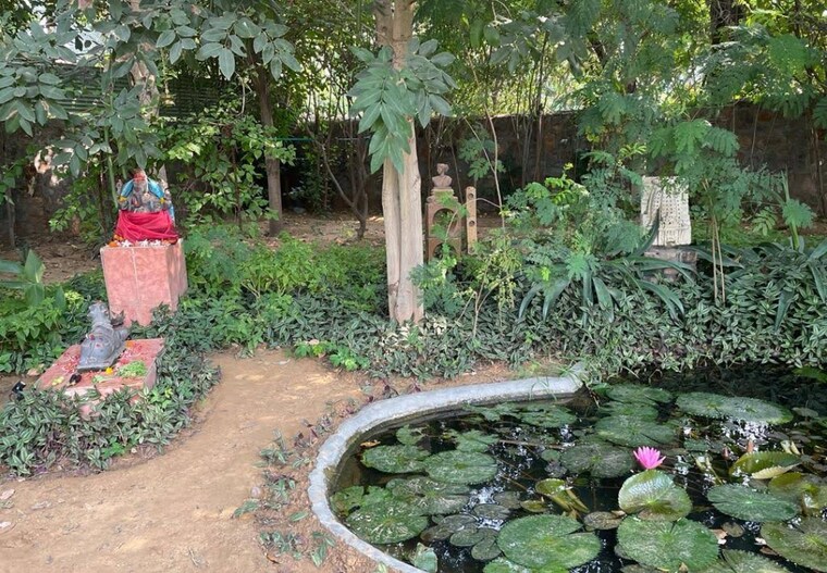 Garden, emaar-the-palm-spring-villas 5 Bedroom 360 Sq.Yd. Villa In Sector 54 Gurgaon 9315578