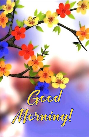 1 BHK Builder Floor For Rent in Chattarpur