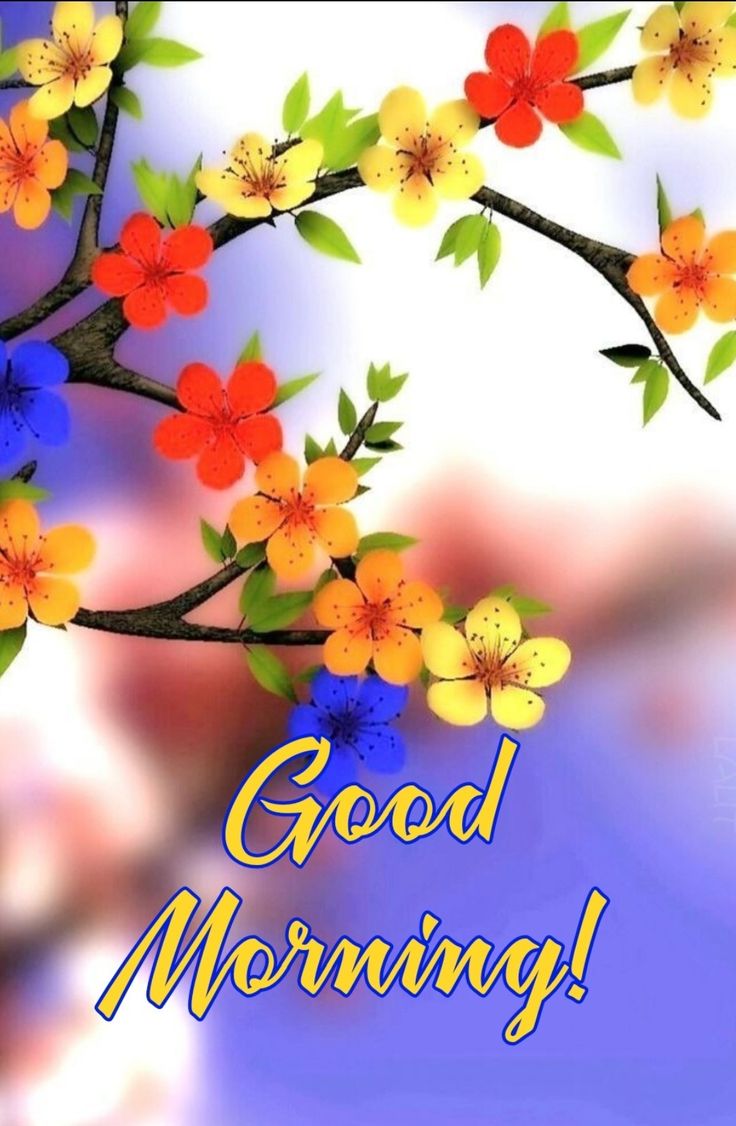 1 BHK Builder Floor For Rent in Chattarpur