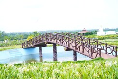 Plot For Sale in Pearl City