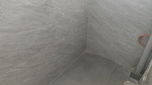 Bathroom in 2 BHK Apartment at Manikonda – for Rent