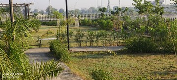 Plot Area in  Plot at Sitapura – for Sale