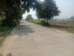 321 Sq.Yd. Plot in Omaxe New Chandigarh