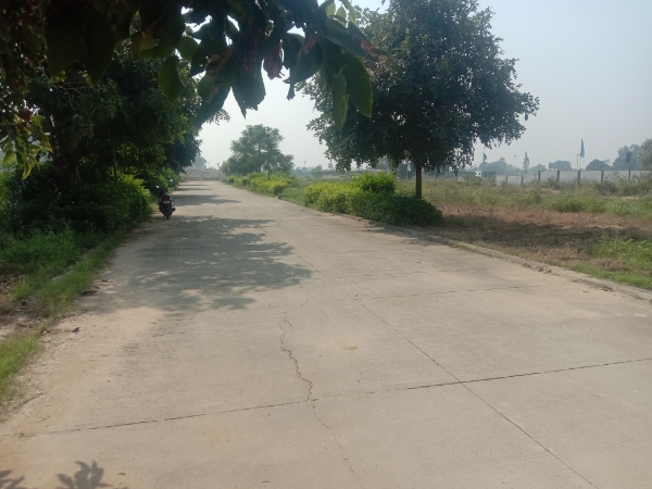 Plot For Sale in Omaxe New Chandigarh