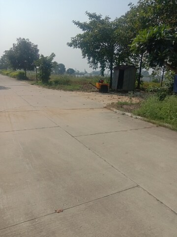  Plot – Exterior View View at Omaxe New Chandigarh, North Mullanpur - for Sale
