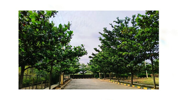 Exterior View, skh-echium  1500 Sq.Ft. Plot In Whitefield Bangalore 9315826