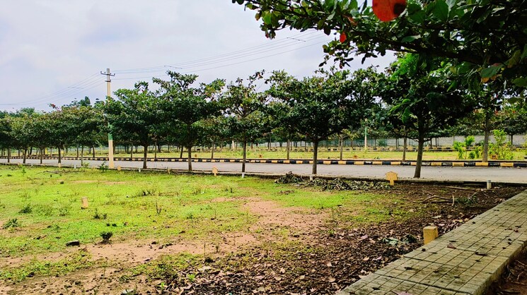 undefined, skh-echium  1500 Sq.Ft. Plot In Whitefield Bangalore 9315826