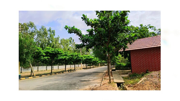 Exterior View, skh-echium  1500 Sq.Ft. Plot In Whitefield Bangalore 9315826
