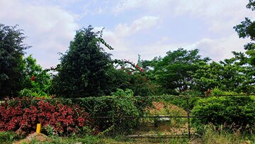  Plot – Exterior View View at SKH Echium, Whitefield - for Sale