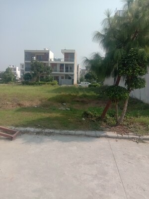  Plot For Sale in Omaxe New Chandigarh, North Mullanpur