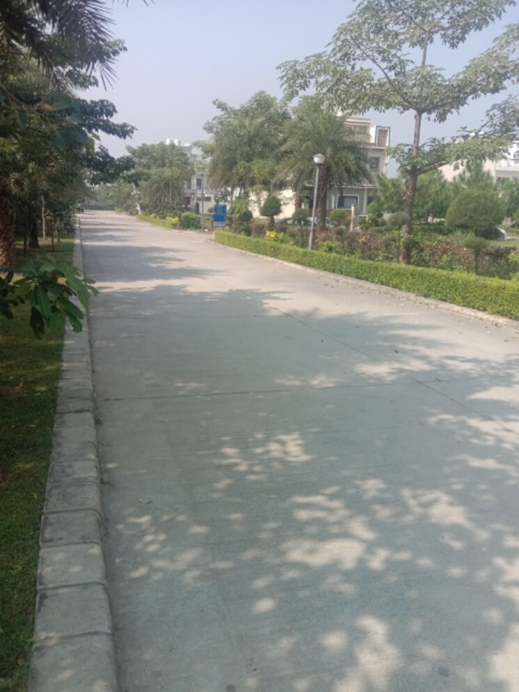 undefined, omaxe-new-chandigarh  115 Sq.Yd. Plot In North Mullanpur Chandigarh 9315953