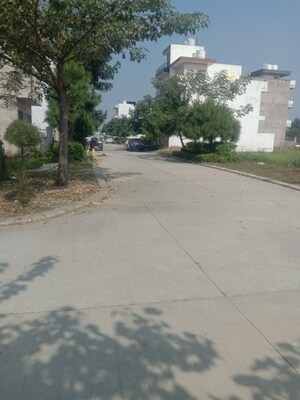  Plot – Exterior View View at Omaxe New Chandigarh, North Mullanpur - for Sale