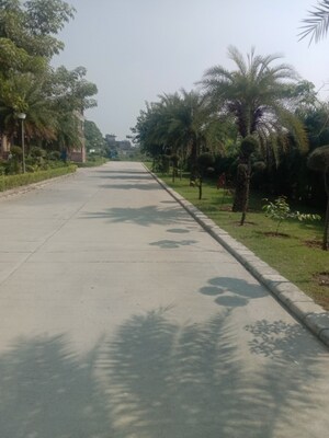  Plot – Exterior View View at Omaxe New Chandigarh, North Mullanpur - for Sale