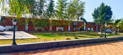 Plot For Sale in Rau