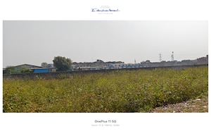 Plot Area in  Plot at Sector 25 – for Sale