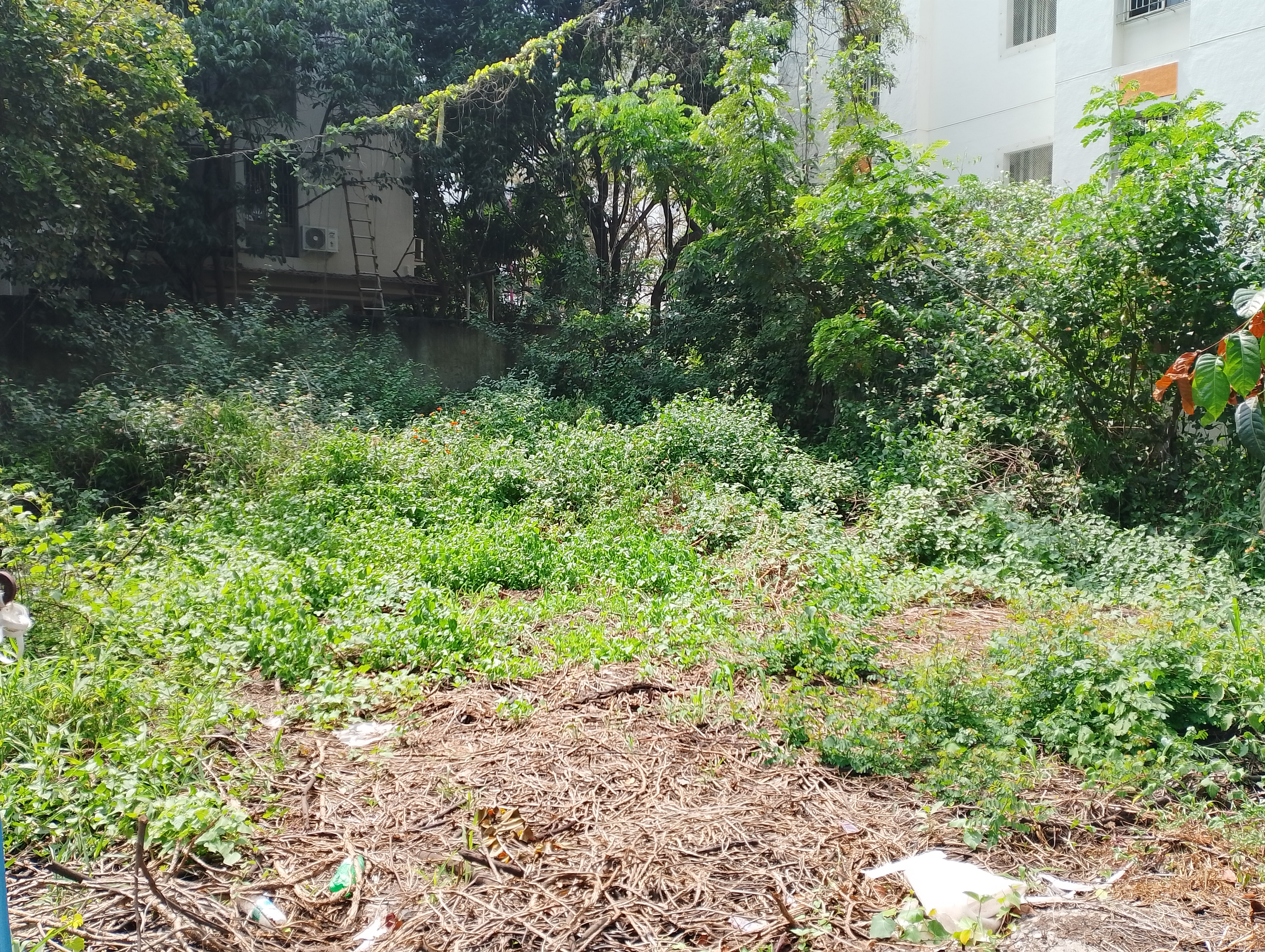 Plot For Sale in Prathamesh Park Baner