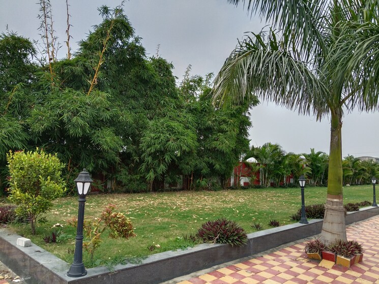 Garden, rau  800 Sq.Ft. Plot In Rau Indore 9316367