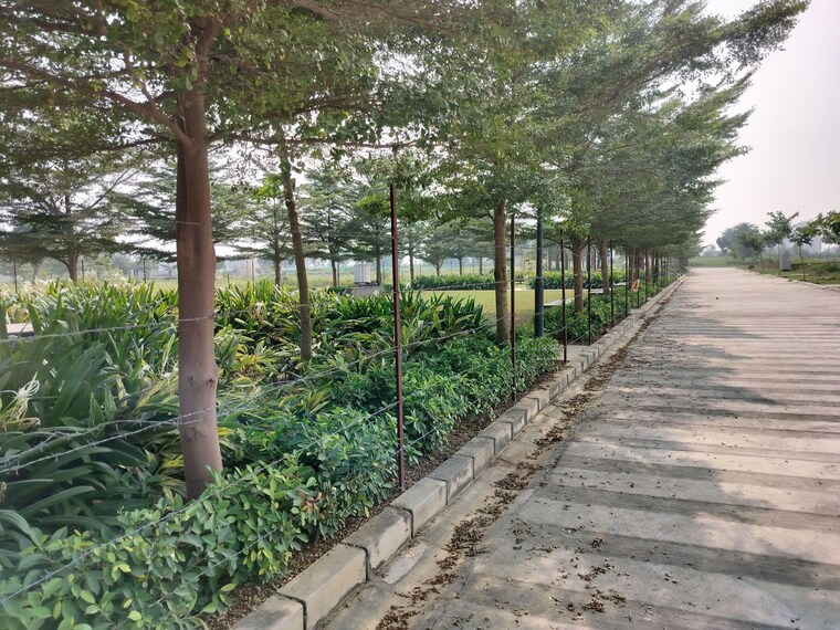 Exterior View, pintail-park-city  3503 Sq.Ft. Plot In Mastemau Lucknow 9316539