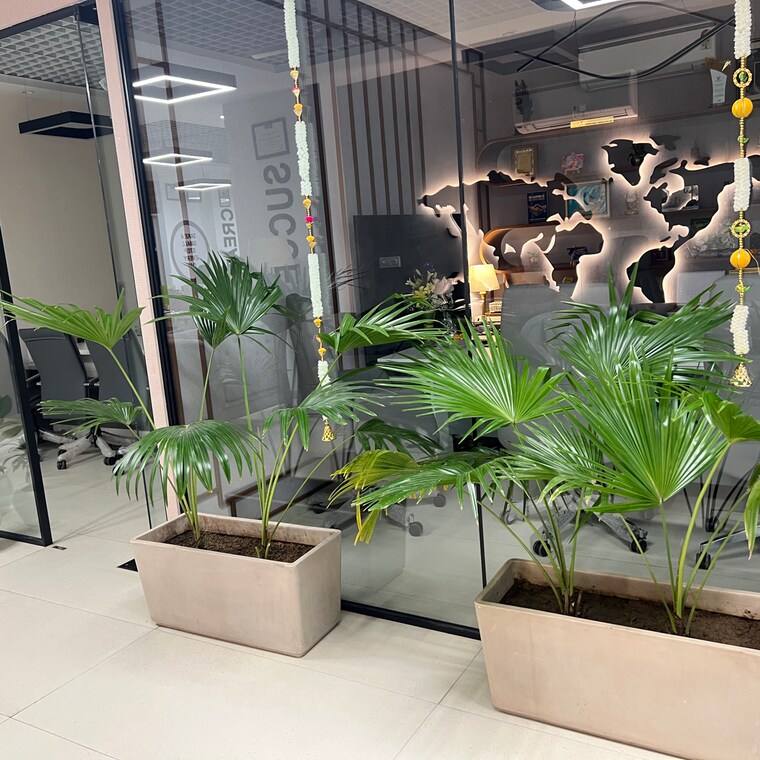 Balcony, rps-world-trade-center Commercial Office Space 450 Sq.Ft. In Sector 27c Faridabad 9316601