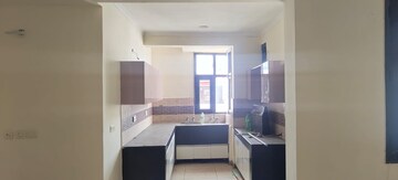 Kitchen in 3 BHK Apartment at Motia Royal Estate, Lohgarh – for Rent