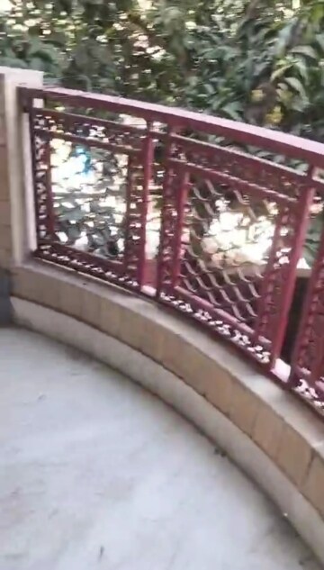 Balcony in 3 BHK Builder Floor at Old Rajinder Nagar – for Rent
