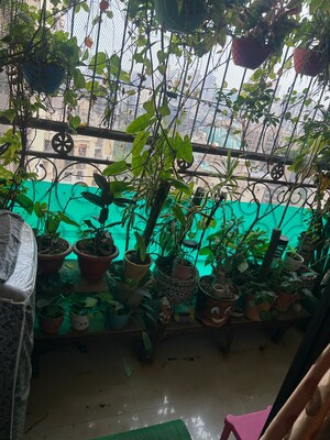 2 BHK Apartment – Exterior View View at Lake Pleasant, Powai - for Rent