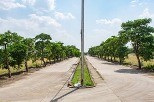  Plot – Exterior View View at Ab Bypass Road - for Sale