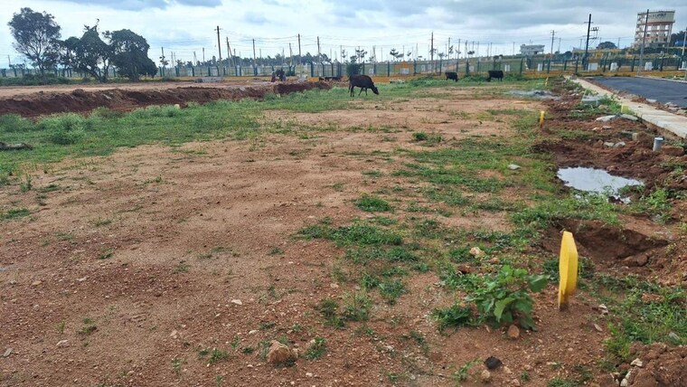 undefined, nelamangala  1350 Sq.Ft. Plot In Nelamangala Bangalore 9311838