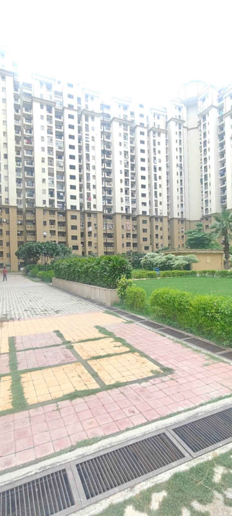 Exterior View, amrapali-riverview 2 Bedroom 845 Sq.Ft. Apartment In Amrapali Leisure Valley Greater Noida 9317530