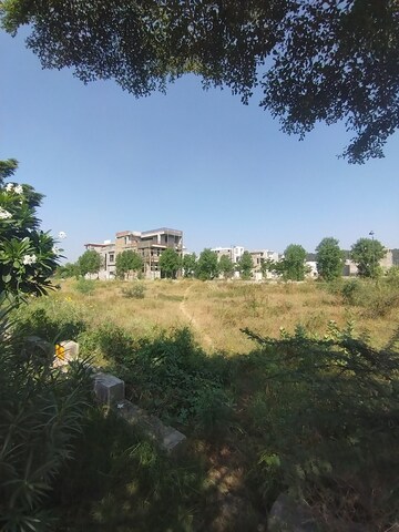 Plot Area in  Plot at Gokulpura – for Sale