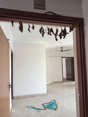 Room in 2.5 BHK Apartment at Amrapali Leisure Park, Amrapali Leisure Valley – for Rent