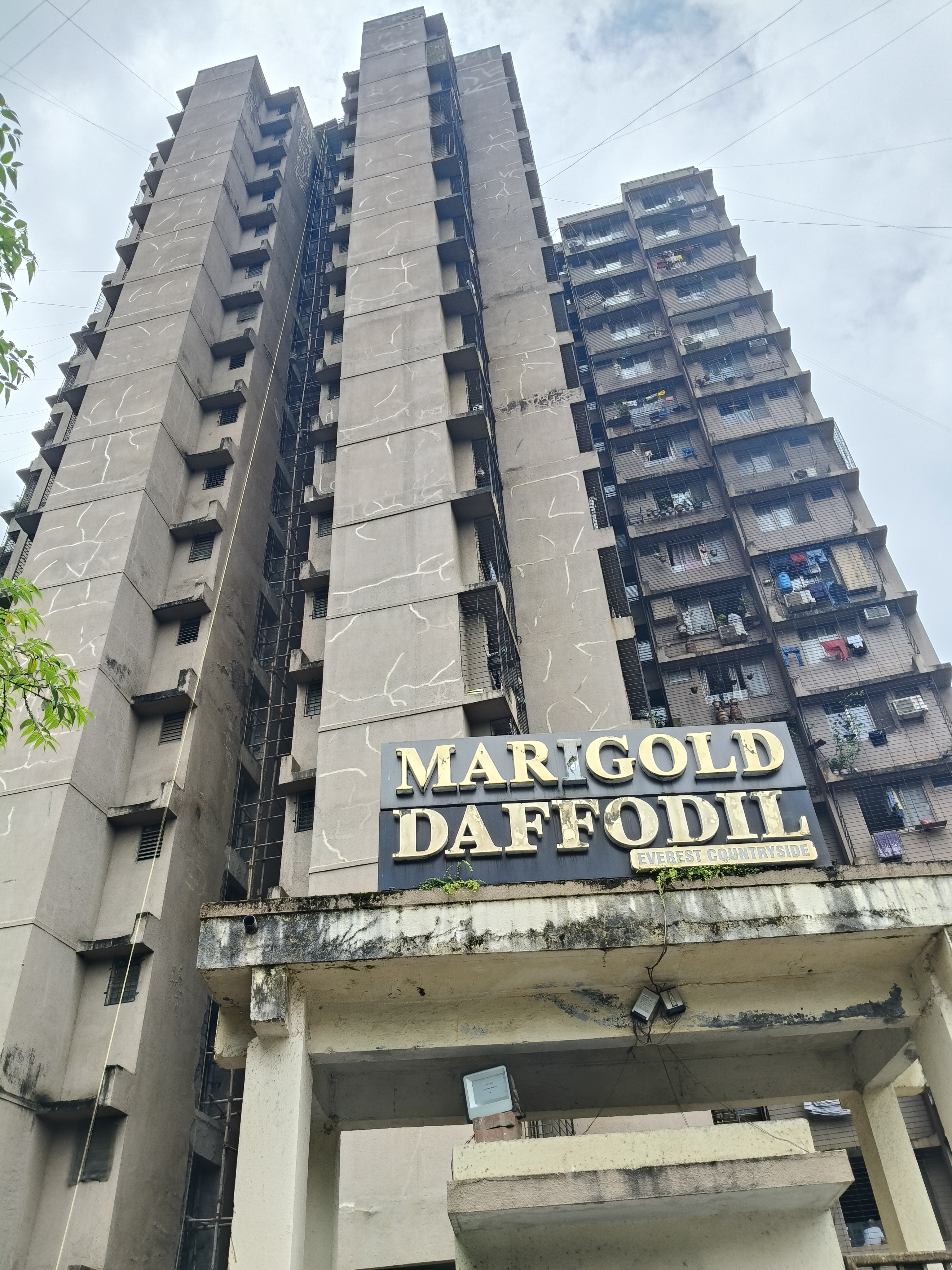 2 BHK Apartment For Sale in Terraform Everest Countryside Daffodil