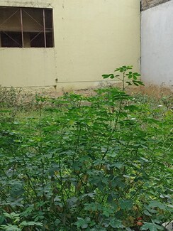 Plot For Sale in BTM Layout