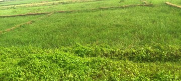Plot Area in  Plot at Homebase Panchamukhi Lites, Atala – for Sale